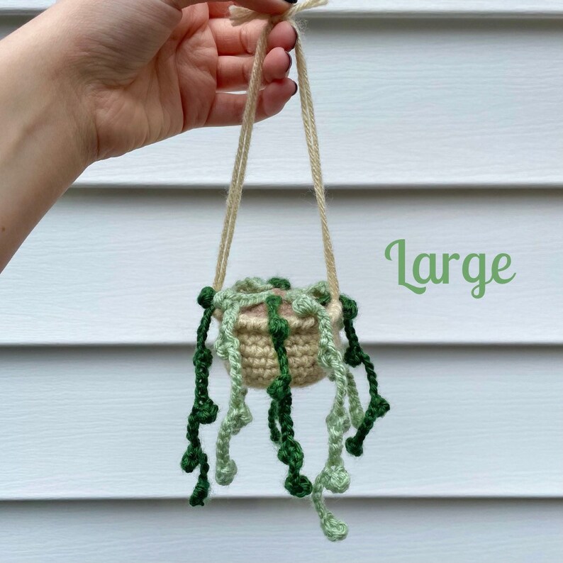 Crochet String of Pearls Hanging Succulent Plant Etsy