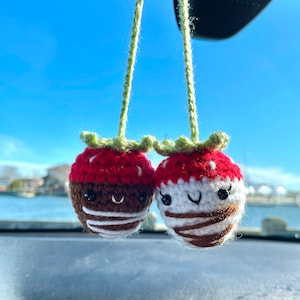 May include: Two handmade crochet strawberry ornaments. Each strawberry has a red top with white accents, a brown or white body with brown stripes, and a green stem. They hang from green yarn.