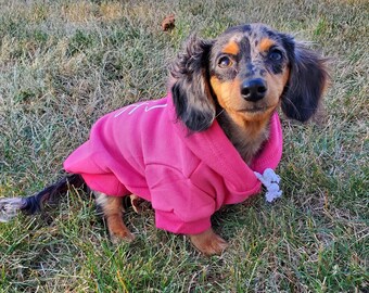 Personalized Dog Hoodie, Dog Jacket, Sweater, Dachshund