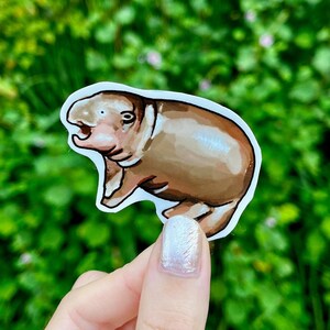 Moo Deng Sticker | Hippo Sticker | Vinyl Cute Hippo | Hippopotamus Sticker | Moo Deng Meme | Funny Hippo