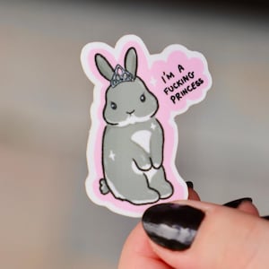 Prinzessin Bunny Aufkleber | Wasserflasche Niedlicher Aufkleber | Kaninchen Besitzer Geschenk Frecher Hase | Prinzessin Kaninchen | Aufkleber für Erwachsene | Affirmationen
