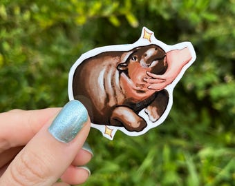 Moo Deng Hippo Vinyl Sticker: Viral Meme Art