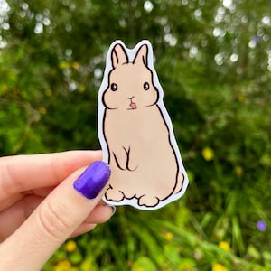 Süßer Hasenaufkleber | entzückender Hase | süßes Häschen | Kaninchen Aufkleber | Geschenk für Häschenliebhaber