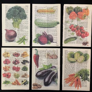 Upcycled art kitchen dictionary print Vintage book page collage