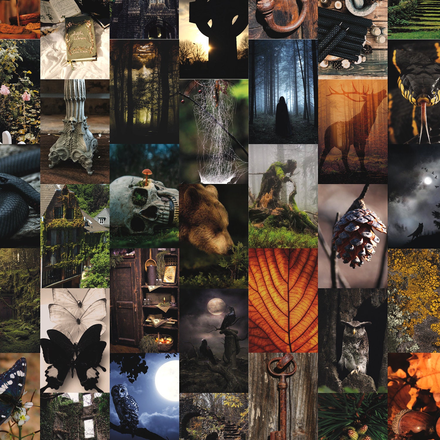 Goblincore Wall Collage Kit Digital Prints - Etsy