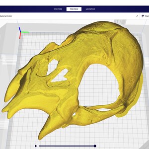 Vampire Bat Skull Mask .STL Files for 3D Printing - Etsy