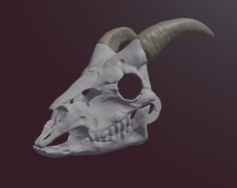 Goat Skull Mask .stl files for 3D printing
