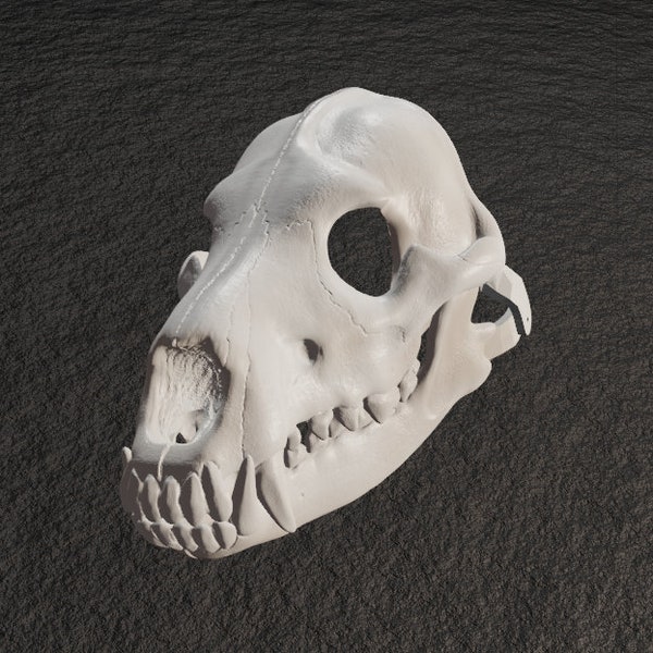 Arctic Wolf Skull Mask .STL files for 3D printing