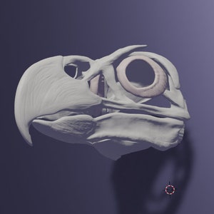 Eagle Skull Mask V2 .STL files for 3D printing