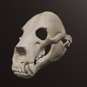 Bear Skull Mask .STL files for 3D printing