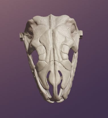 Burmese Python Skull Mask .STL Files for 3D Printing - Etsy