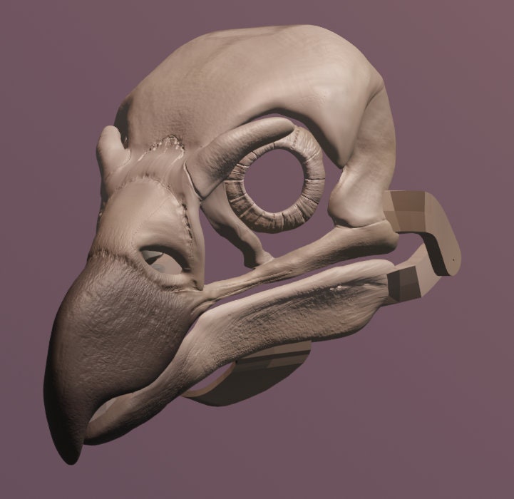 Griffon Vulture Skull Mask V3 .STL files for 3D printing