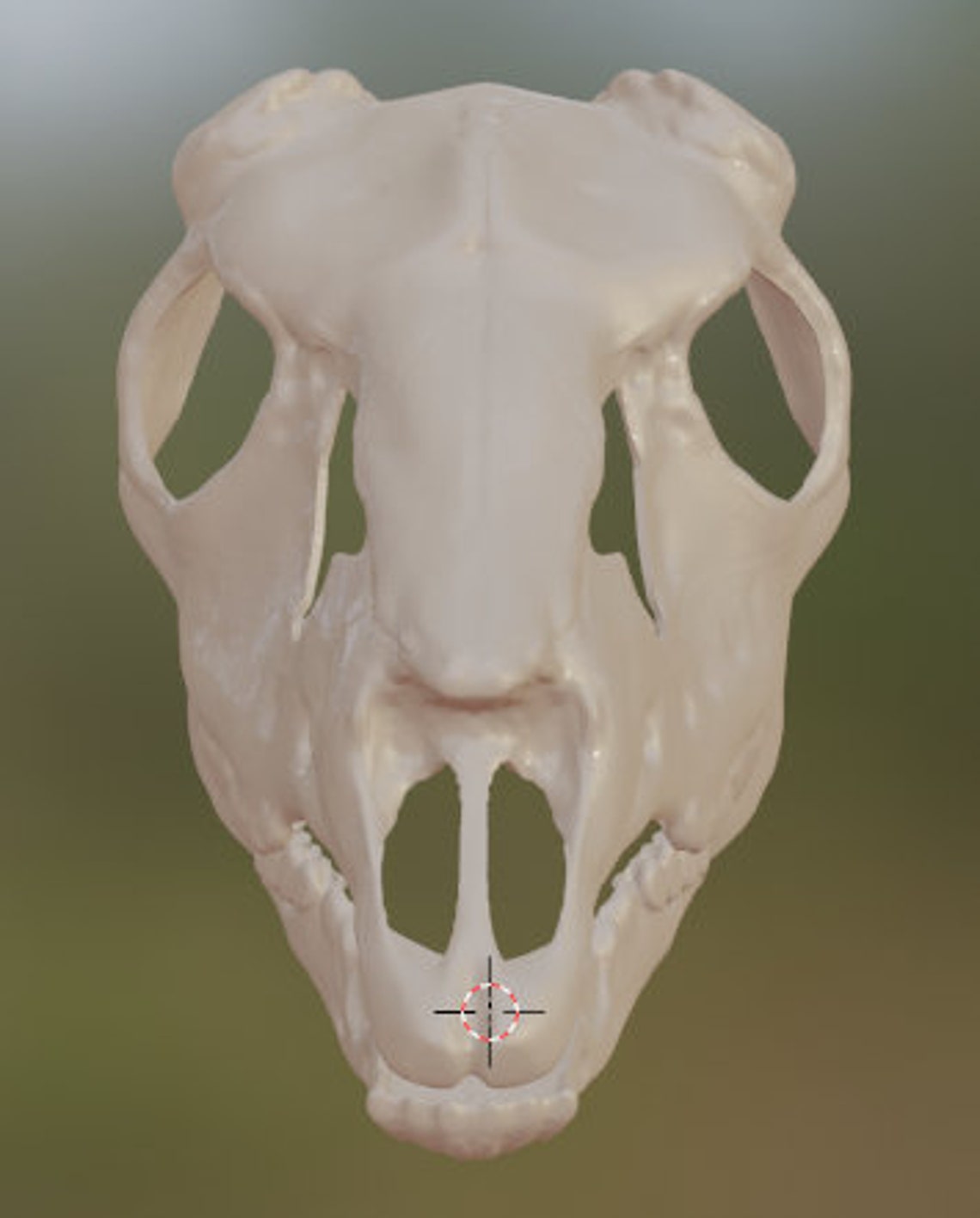 Deer Skull Mask .STL Files for 3D Printing Etsy