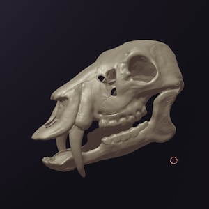Water Deer Skull Mask .STL files for 3D printing