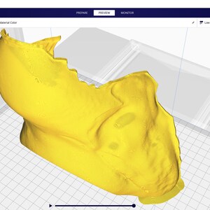 Oviraptor Skull Mask .STL Files for 3D Printing - Etsy