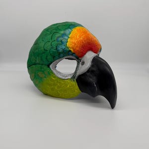 Orange Fronted Conure Masquerade Style Mask