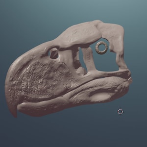 Pliki .stl maski Terror Bird Skull do druku 3D