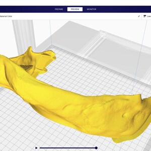 Ball Python Skull Mask .STL Files - Etsy