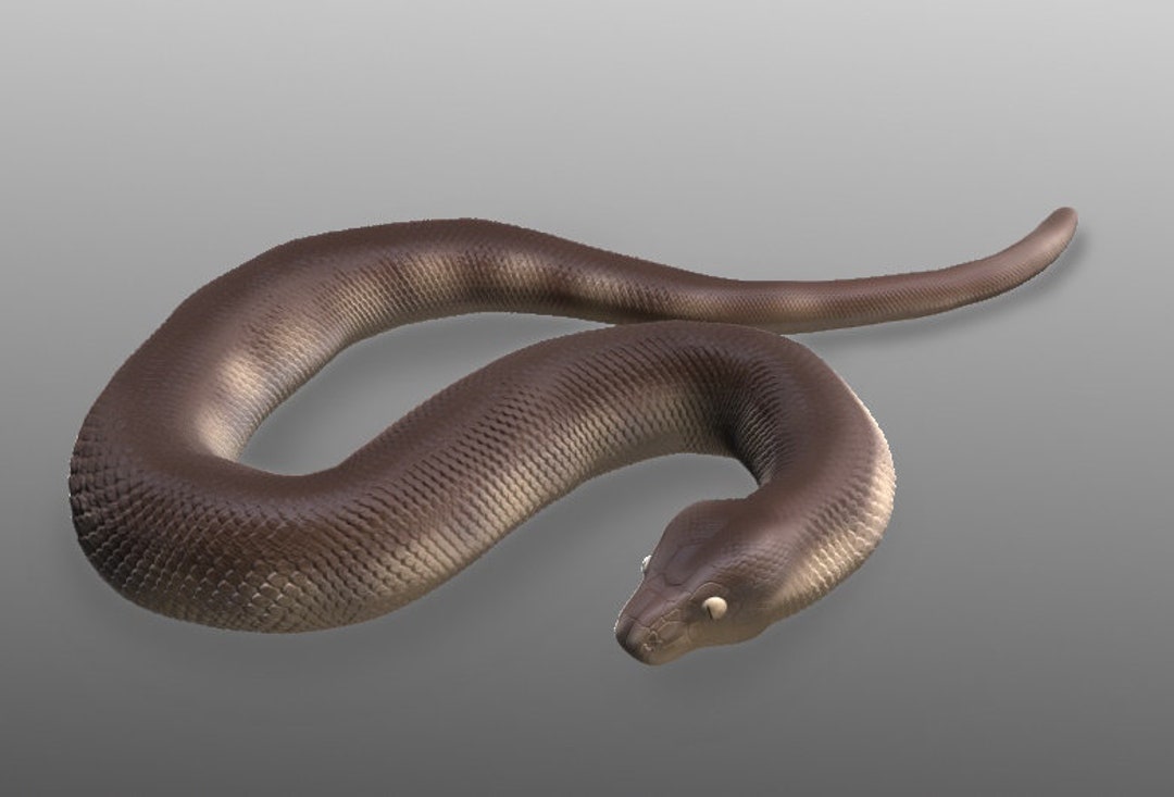 Olive Python Statue .STL Files for 3D Printing - Etsy