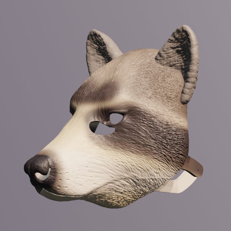 Raccoon Full Mask No Tassels main image 1