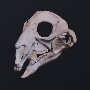 May include: A detailed, white, 3D printed model of an animal skull. The skull is facing the right side of the image and has a long snout with visible teeth.