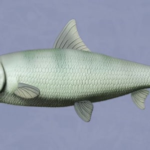 Bonefish Sculpture .STL files for 3D printing