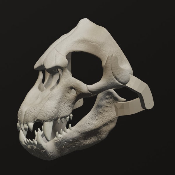 Elephant Seal Skull Mask .STL files for 3D printing