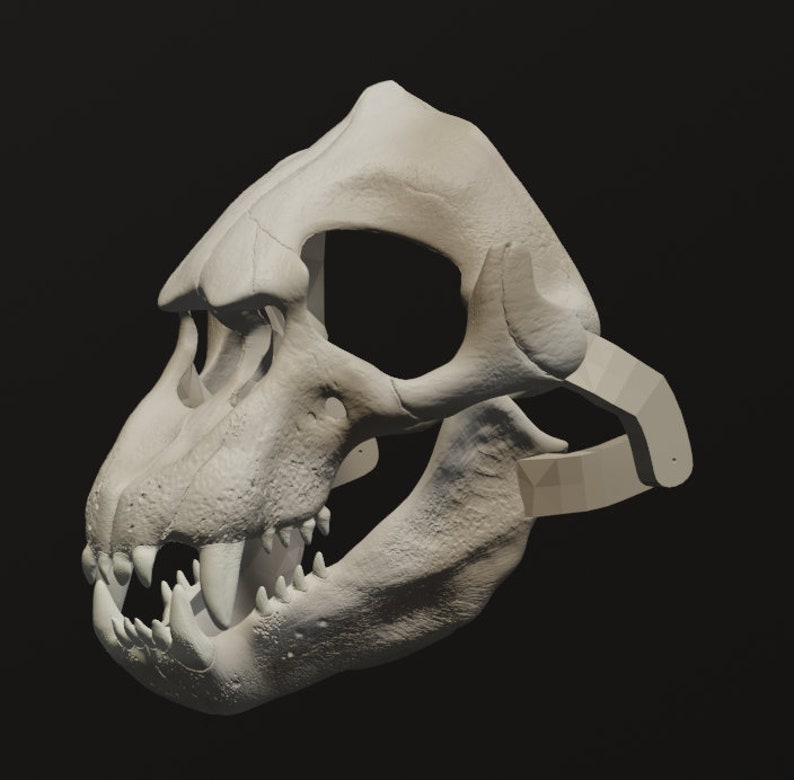 Elephant Seal Skull Mask .STL files for 3D printing image 1