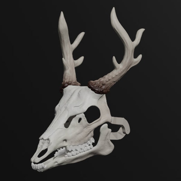 Deer Skull V2 Mask .STL files for 3D printing
