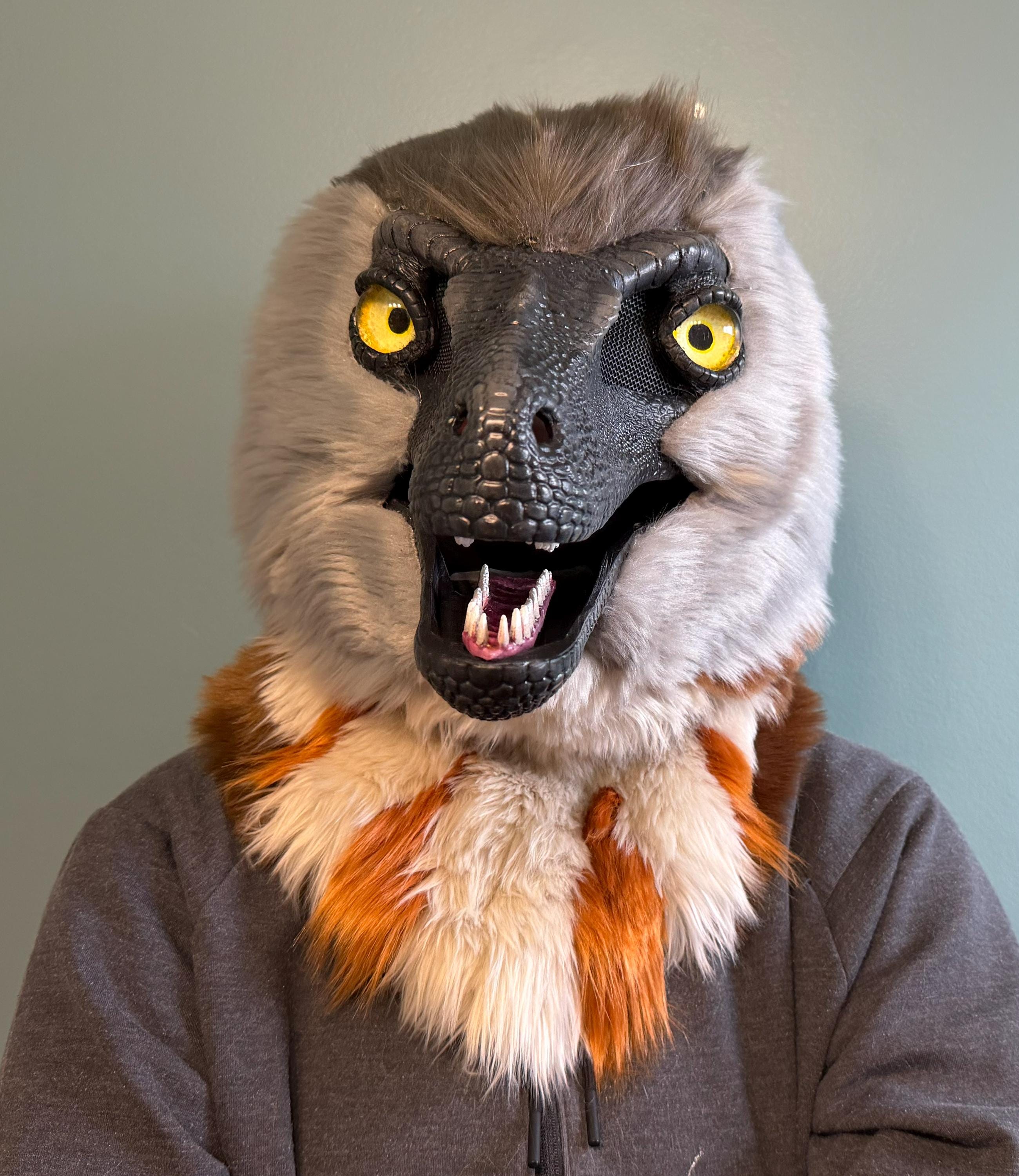 Pectinodon Pectinodon Fursuit Head - Etsy
