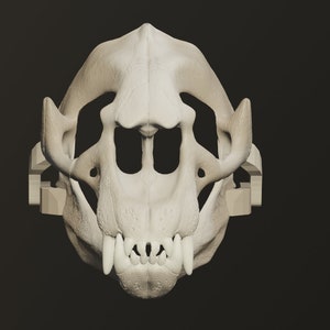 Elephant Seal Skull Mask .STL files for 3D printing image 2