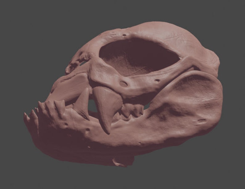 Vampire Bat Skull Mask STL Files for 3D Printing Etsy