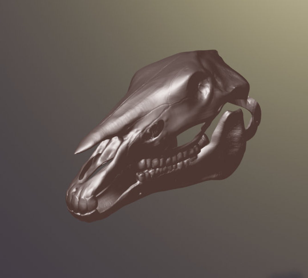 Horse Skull Mask V2 STL Files for 3D Printing Etsy