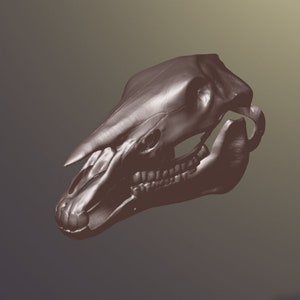 Horse Skull Mask v2 STL files for 3D printing
