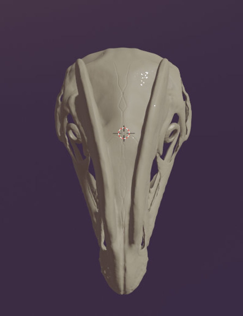 Dilophosaurus Skull Mask .stl Files for 3D Printing - Etsy