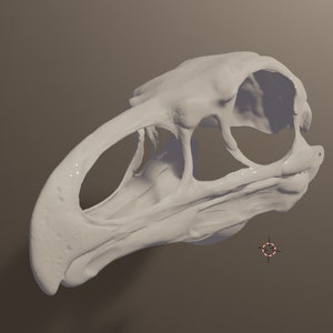 Teratorn Skull Mask .STL files for 3D printing