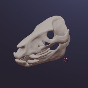 Boar Skull mask .stl files for 3D printing