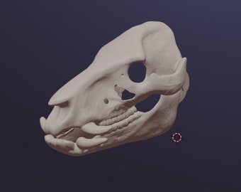 Boar Skull mask .stl files for 3D printing