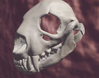 May include: A white 3D printed model of an animal skull with a detailed jaw and teeth. The skull is missing the top portion, revealing the inside of the skull.