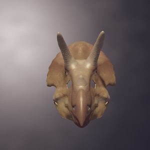Triceratops Mask V2 .STL Files for 3D Prining - Etsy