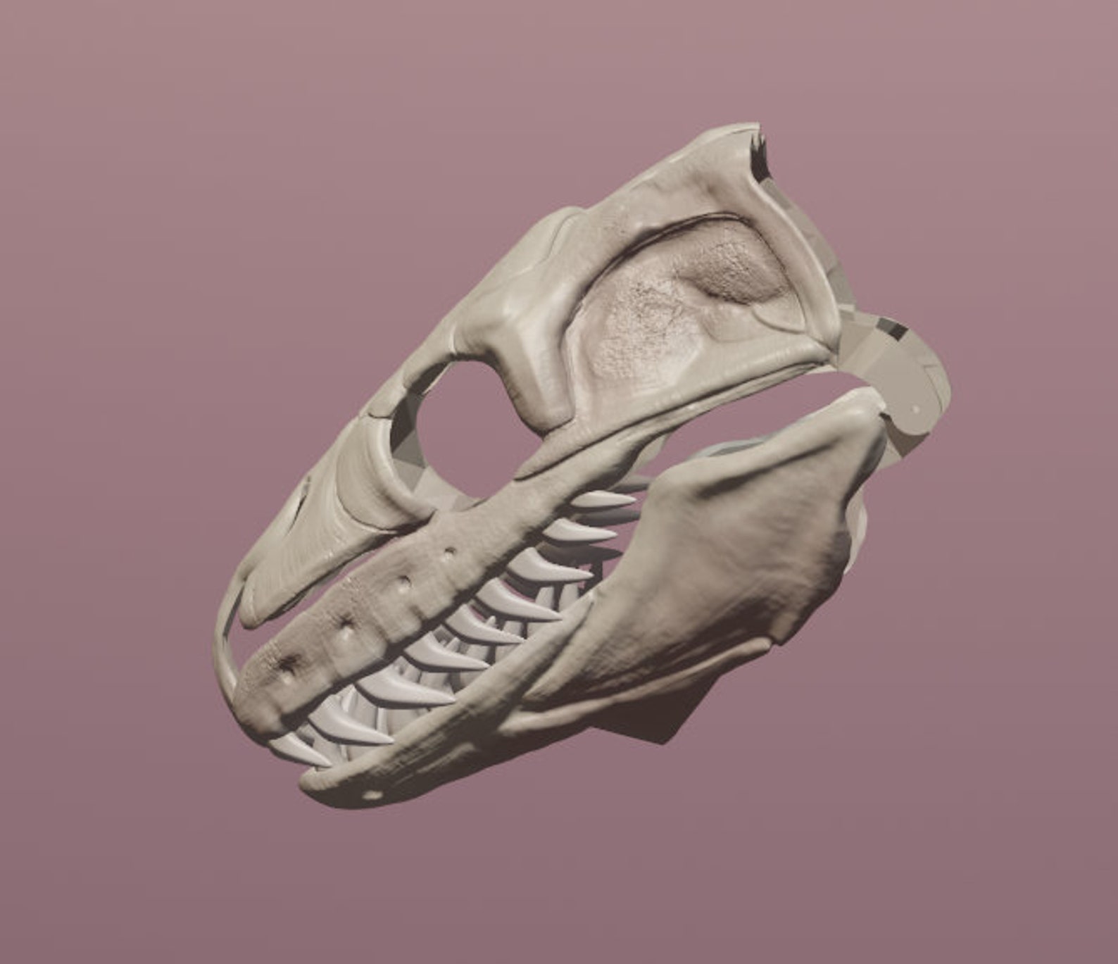 Burmese Python Skull Mask .STL Files for 3D Printing - Etsy