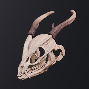 Muntjac Skull Mask .STL files for 3D printing