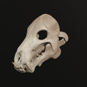 Máscara de cráneo de entelodonte. Archivos STL para impresión 3D