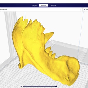 Vampire Bat Skull Mask .STL Files for 3D Printing - Etsy