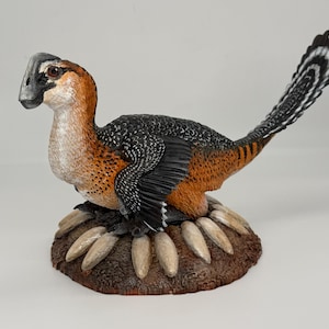 Physical 3D printed 1:1 scale Yulong/Nesting Oviraptor Figurine