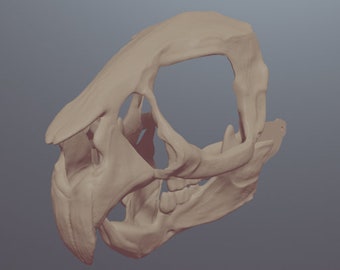 Rat Skull Mask .STL files for 3D printing