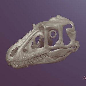 Alioramus Skull Maske .stl Dateien für 3D Druck