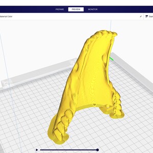 Op de afbeelding: Een geel 3D-geprint model van een kaakbeen wordt getoond in een 3D-printprogramma. Het model is geplaatst op een gerasterd oppervlak en is klaar om te worden geprint. De programma-interface toont de geschatte printtijd van 12 uur en 31 minuten.