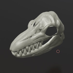 Orca Skull Mask .STL files for 3D printing