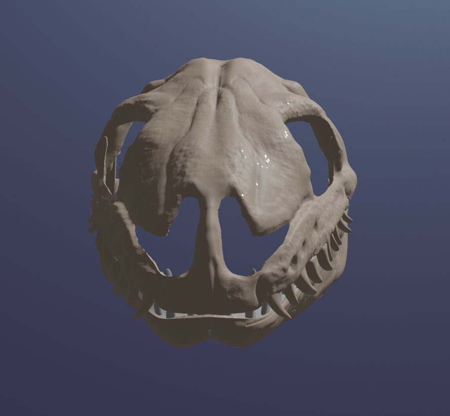 Ball Python Skull Mask .STL Files - Etsy